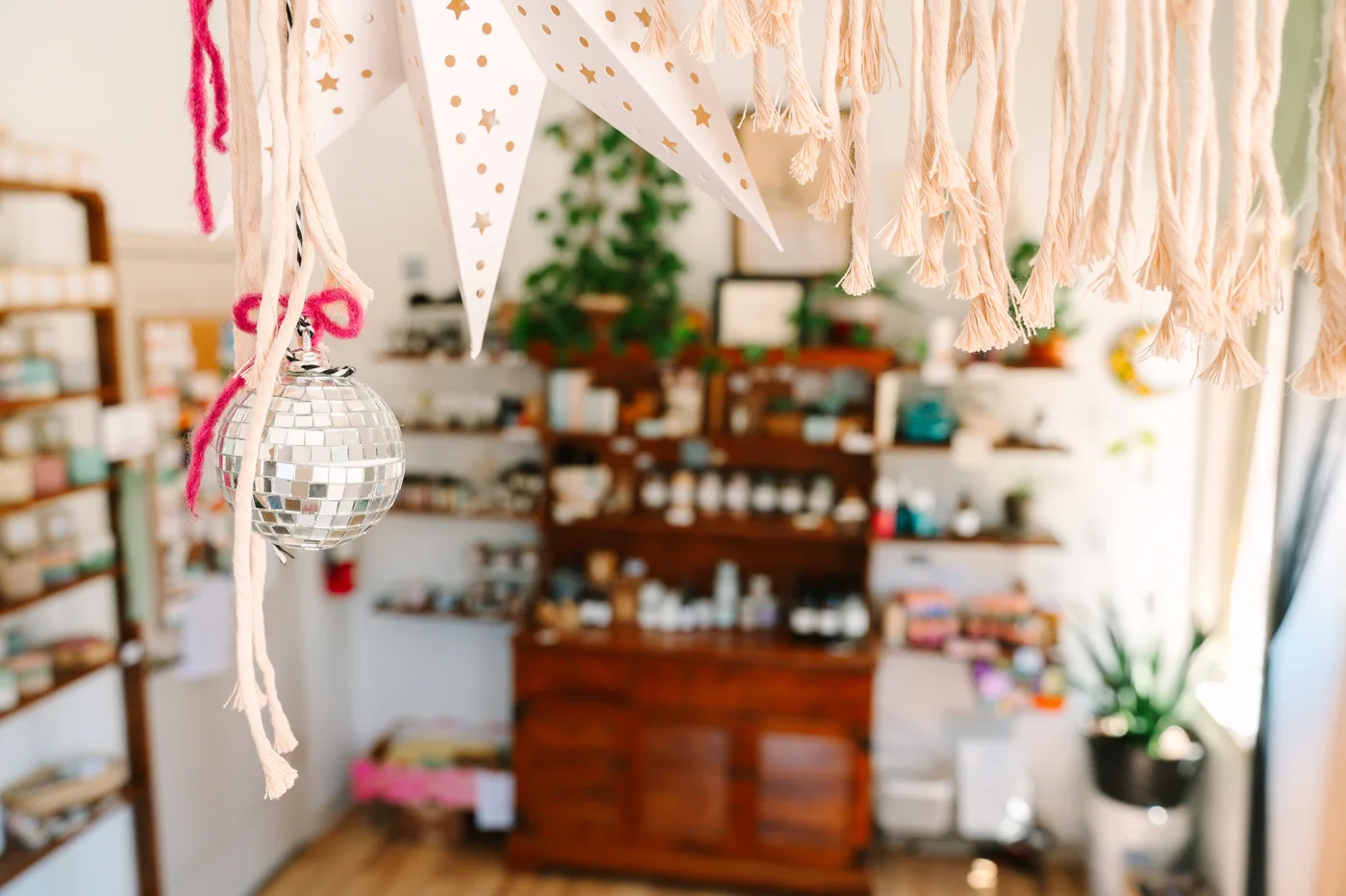 Indigo River & Co. business photo