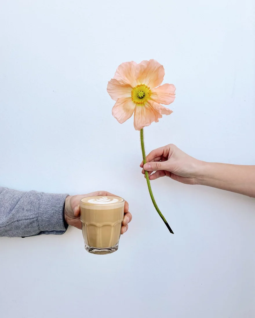 Kismet Coffee & Bloom, business photo 2