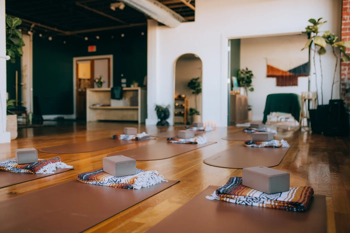Rootspace Wellness business photo
